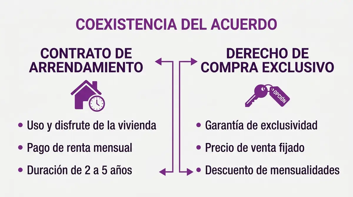 Infografía sobre el acuerdo dual de alquiler con opción a compra en Cádiz, dividida en contrato de arrendamiento y derecho de adquisición exclusivo.